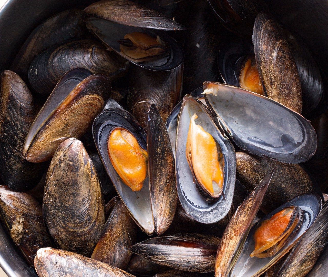 Mejillones: un aliado natural para la salud del corazón
